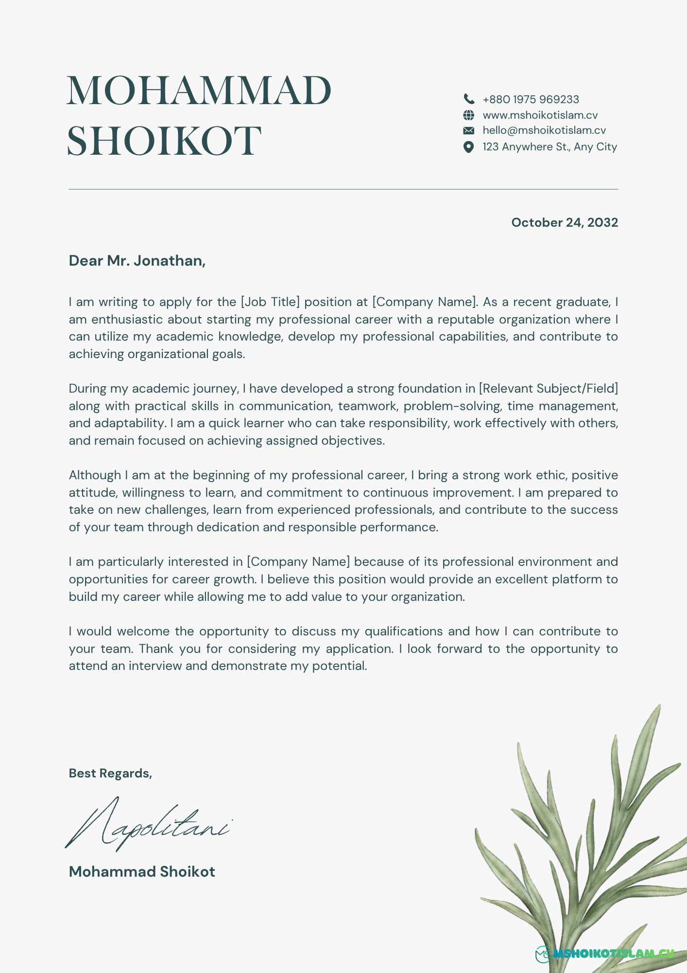 Professional Cover Letter Fresher